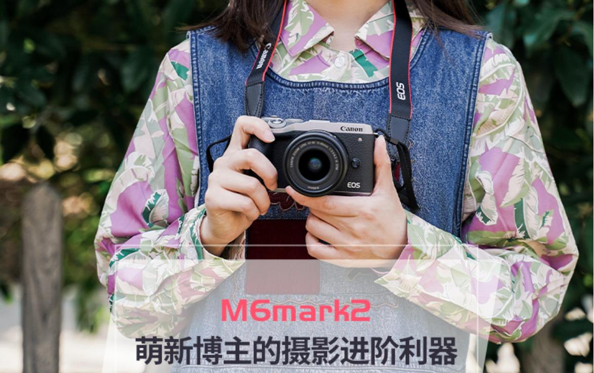 相机推荐新手入门微单加镜头,微单单反到底哪个更适合摄影新手