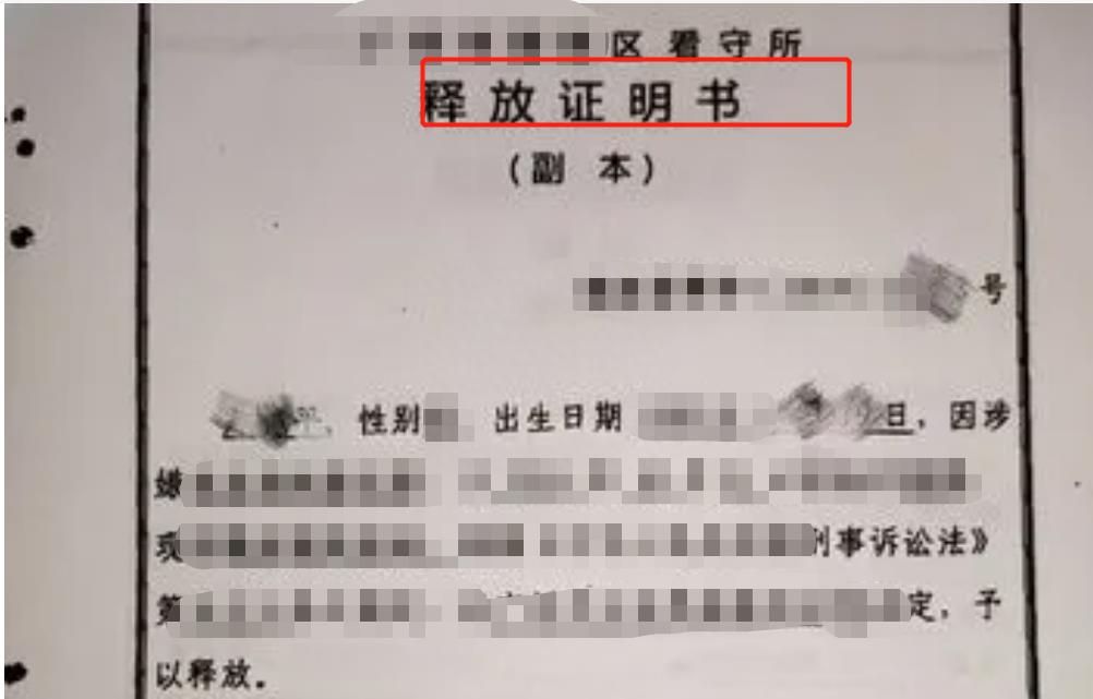 全国头号女警花王菲,王菲女警察