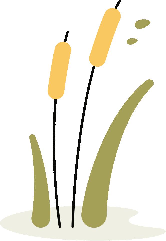 一场清香之旅,深度体验宝丰酒的非遗工艺之美