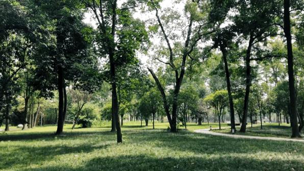 成都有哪些公园值得一去,成都必去的公园排行榜最新名单