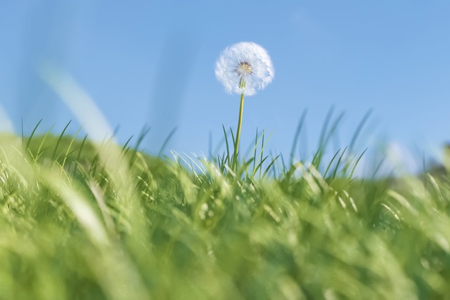 春天北方的风,春天北方的雪