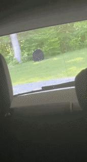 卖屁的女网红现在改卖胸部的汗了，一天能赚3万块