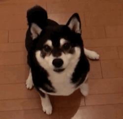 有创业项目没钱咋办,缺钱创业公司股权最佳分配方案