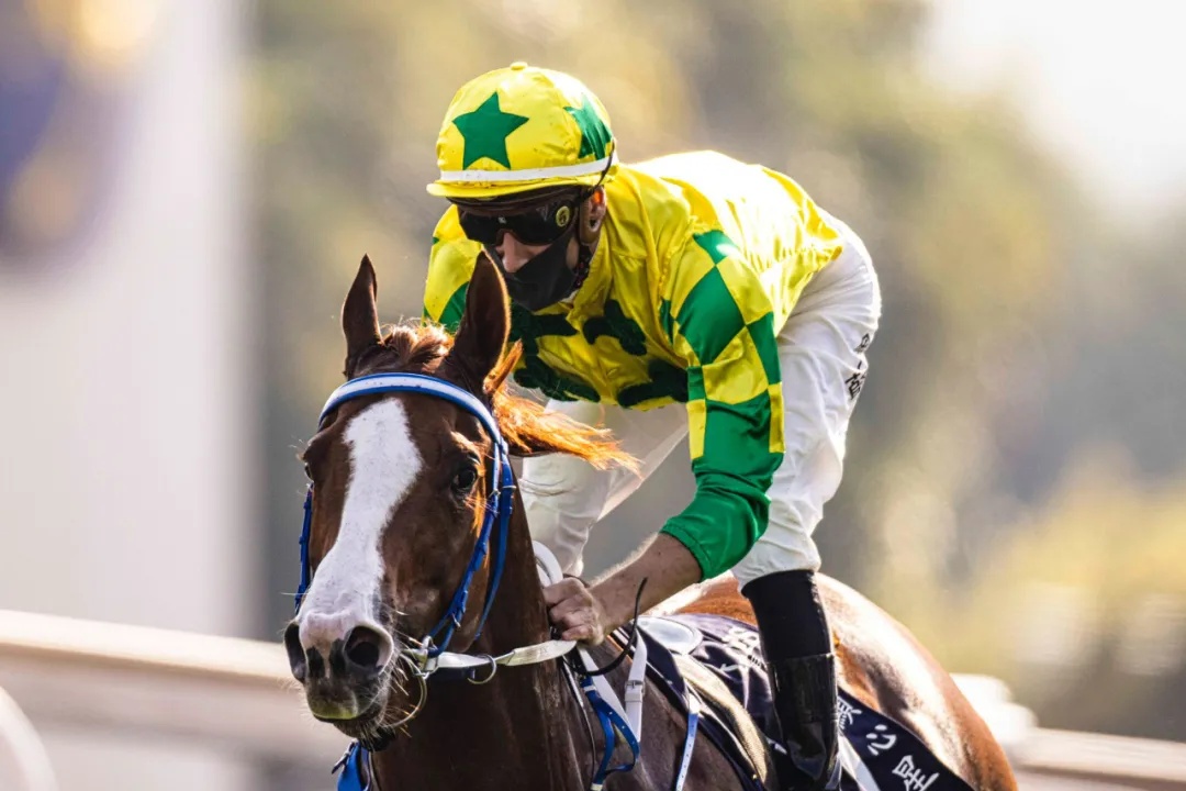 2400万港元香港短途锦标四马连撞，香港代表赛驹“显心星”夺冠