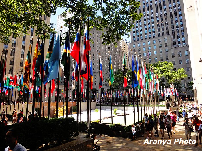 美国真正的纽约在哪里,美国纽约超级大都市