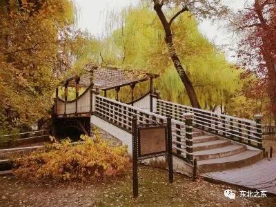 80年代的哈尔滨你还记得吗,哈尔滨70年代视频