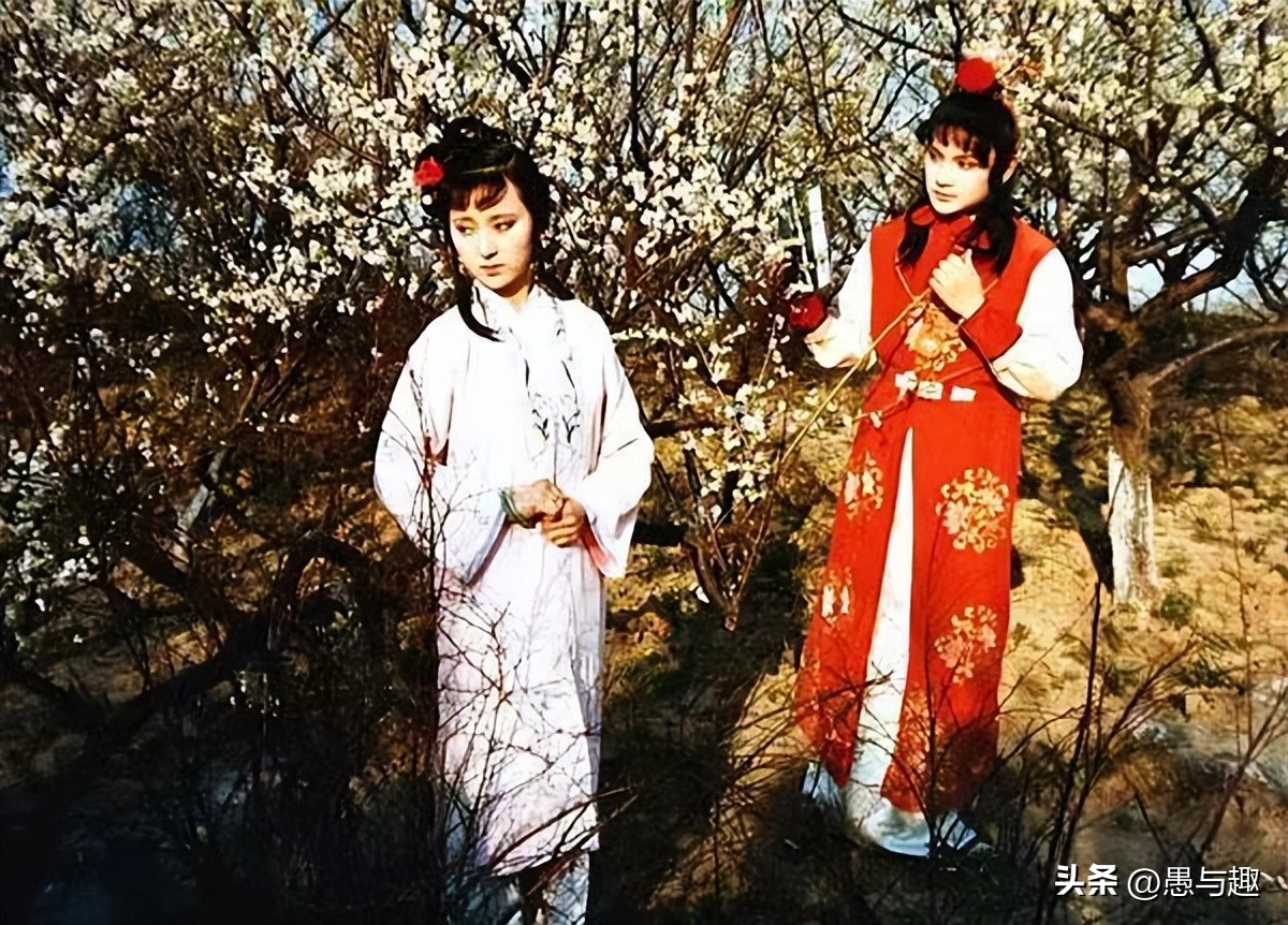 电影红楼梦之金玉良缘2018年拍的,电影红楼梦之金玉良缘评价