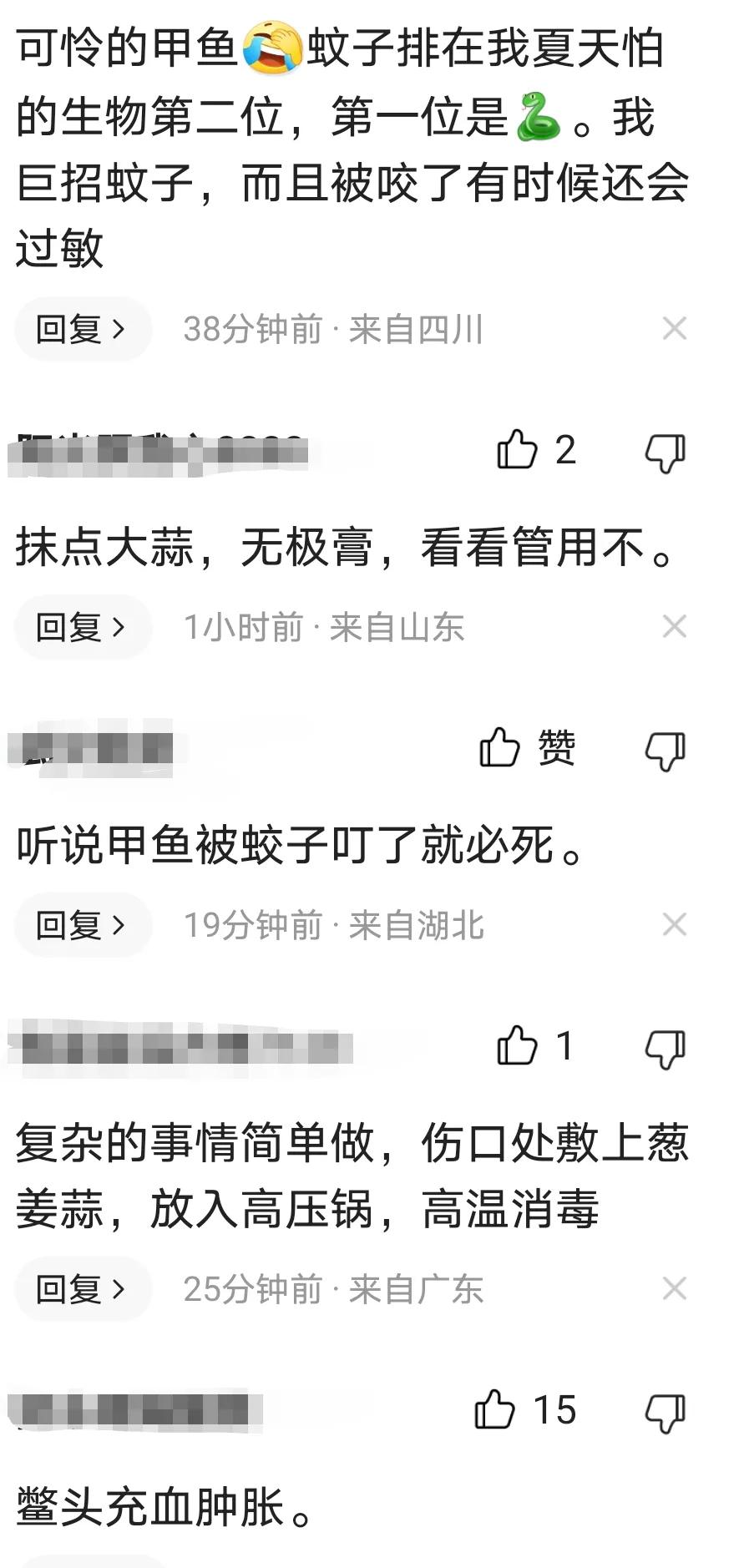 甲鱼被蚊子咬了会死科学解释,甲鱼被蚊子叮头肿成球求助