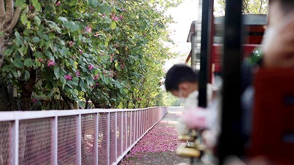 换个方式闹元宵资讯,融创文旅城烟花秀