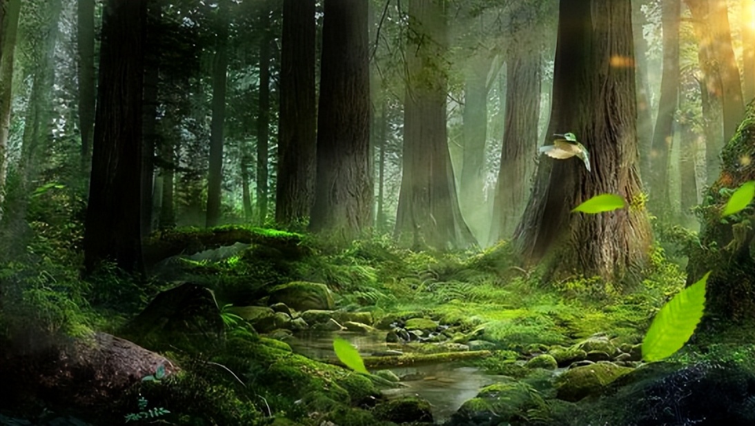 湖南一女孩被女蜱虫咬,女童野外游玩被蜱虫叮咬