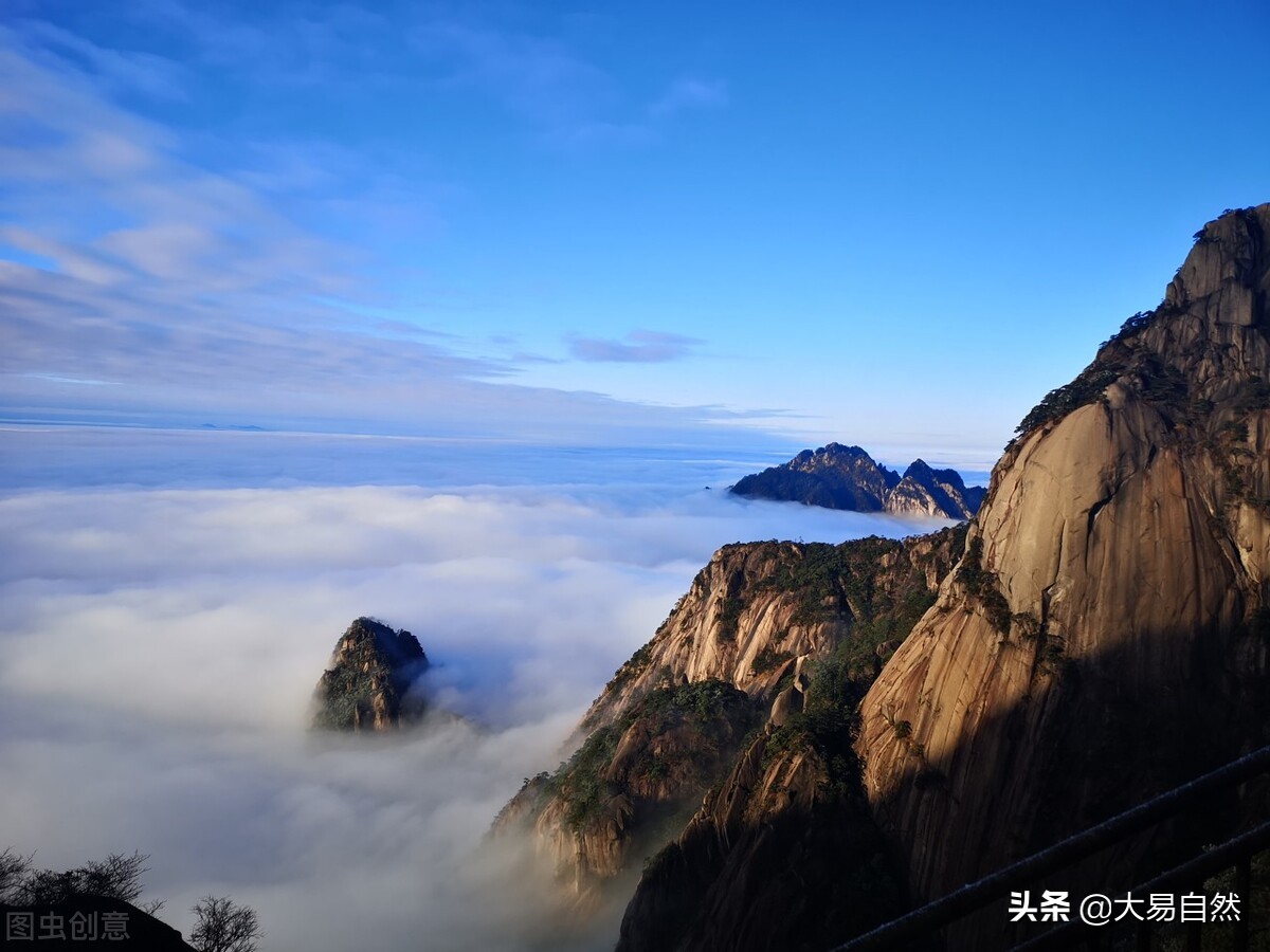 傅佩荣道德经第六十一章讲解,金豆讲道德经第六十一章