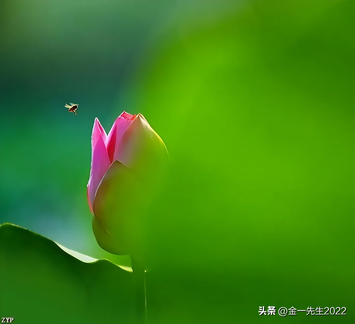 保持汇率稳定的平衡,汇率本质的认识