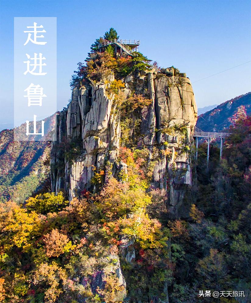 河南景点森林氧吧,河南五地入选中国天然氧吧