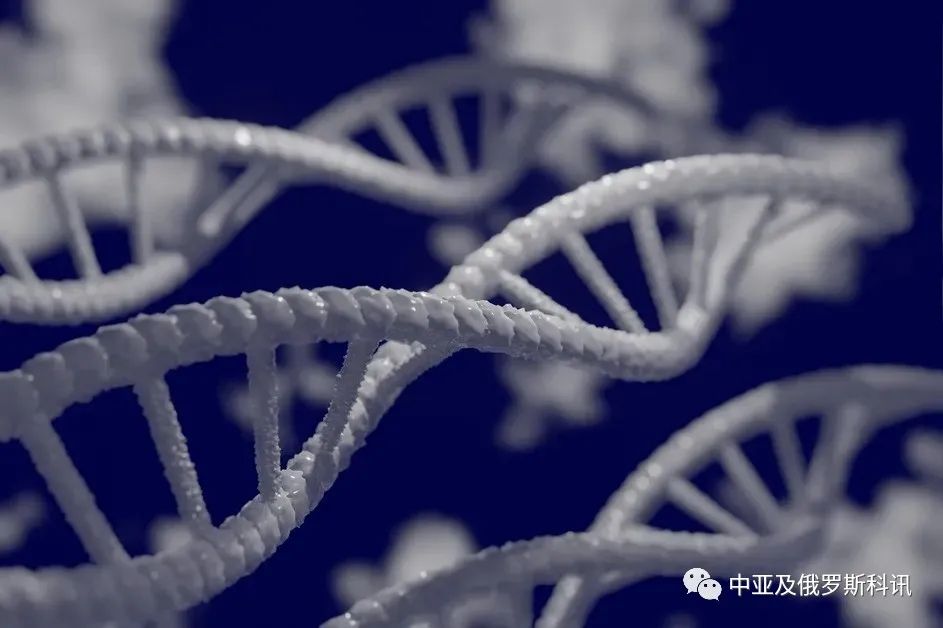 肿瘤免疫细胞最新研究,俄罗斯生物技术治疗癌症