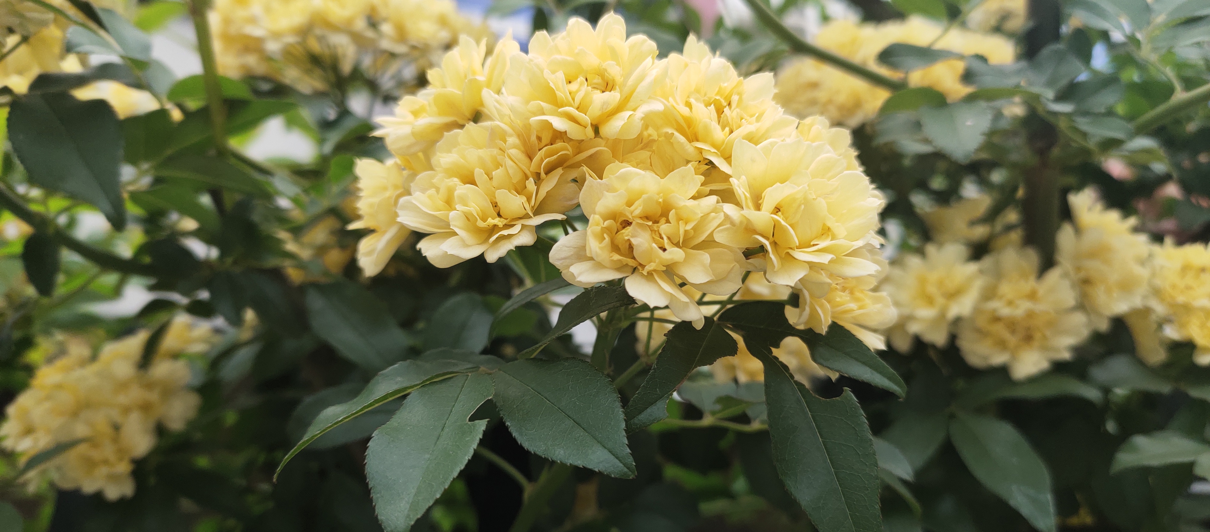 婆婆当众羞辱儿媳妇,婆婆当众羞辱儿媳一家还扇她巴掌