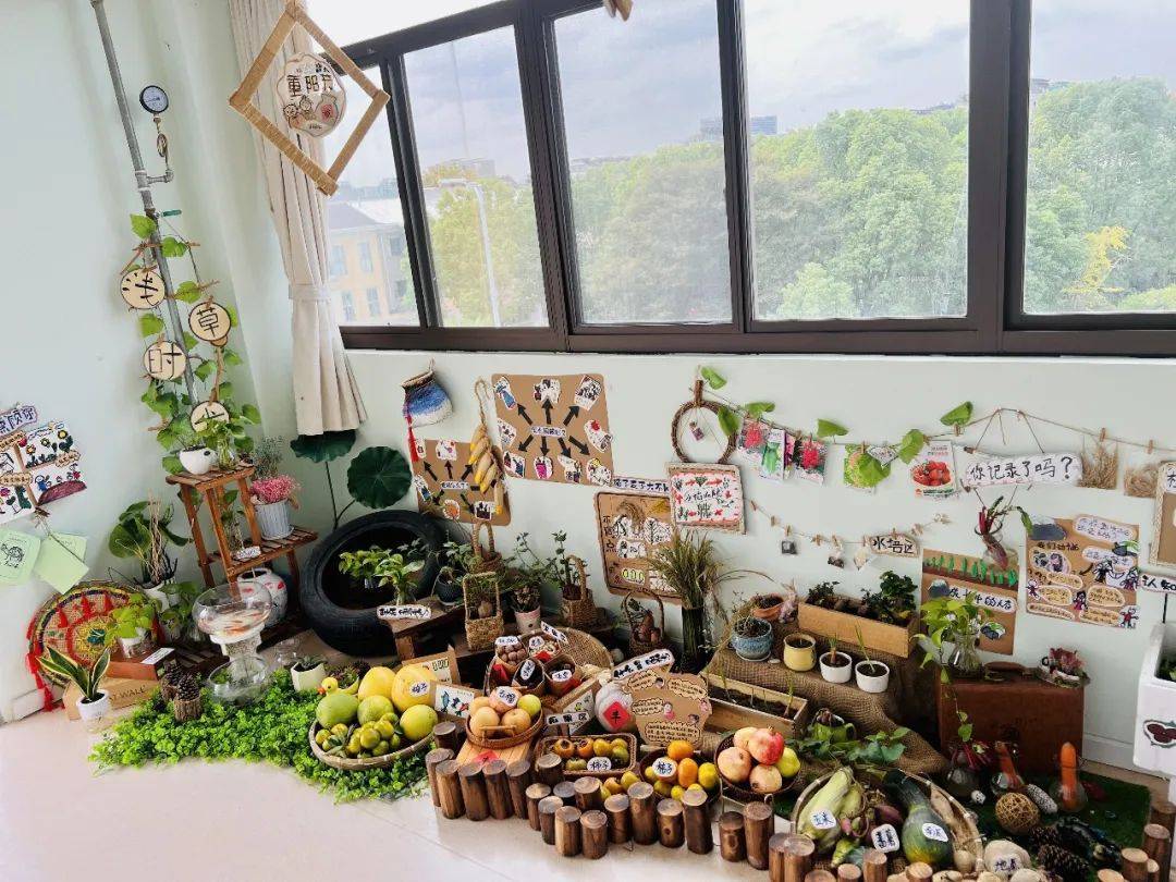 生态环创幼儿园自然角,幼儿园环创自然角实验