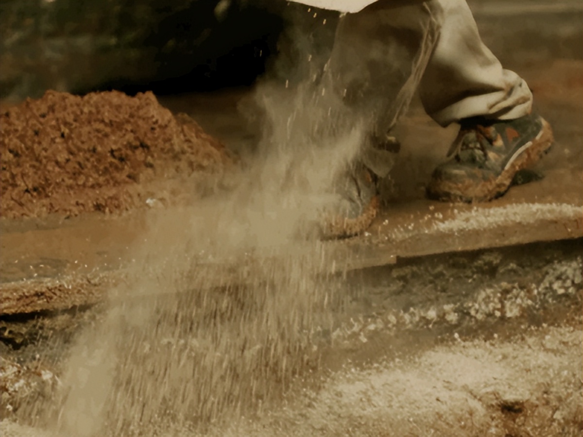 微生物菌群最新研究进展,一号菌群科研新成果