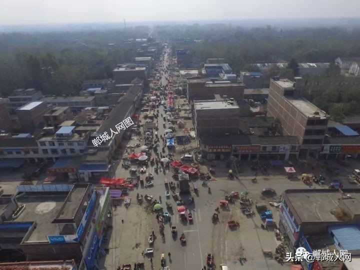郸城这个镇路中间立匹马!繁荣景象,小妮来白马惊呆了
