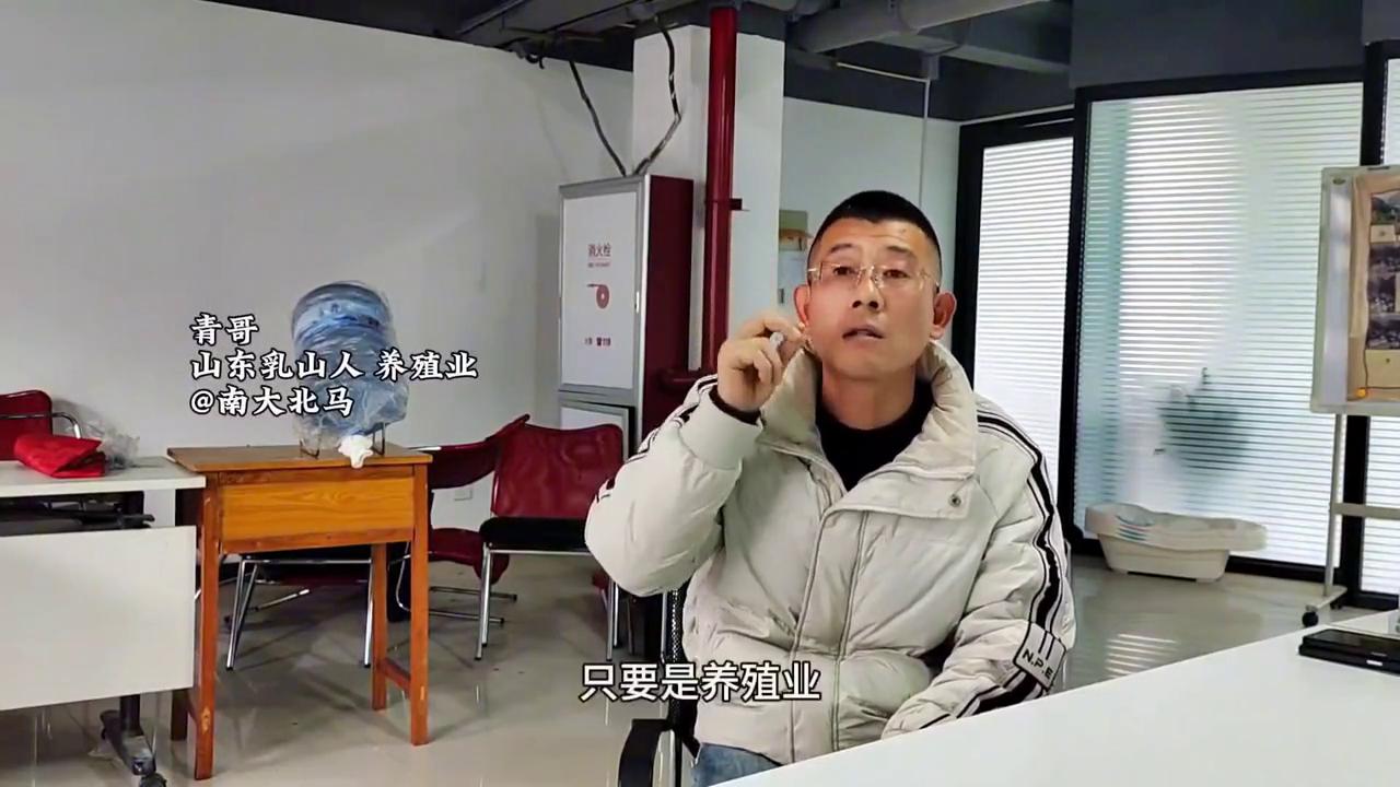 青哥养猪,青哥养豪猪