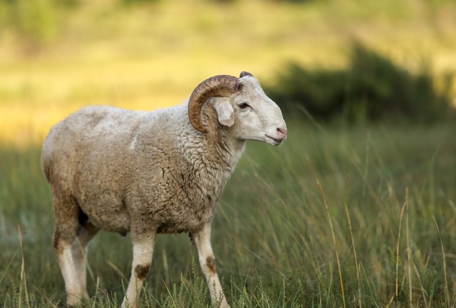 亲历：跑步的也阳，无奈吃了一颗过期的药，很快就好