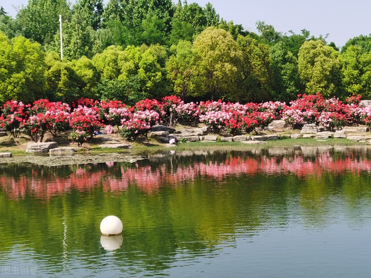 郭进拴｜大美的湖畔明珠