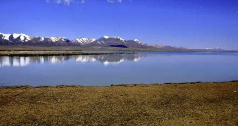 青海人喝什么酒,青海本地喝什么酒