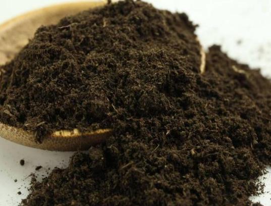 盆土返碱发白怎么洗,园艺换盆技巧