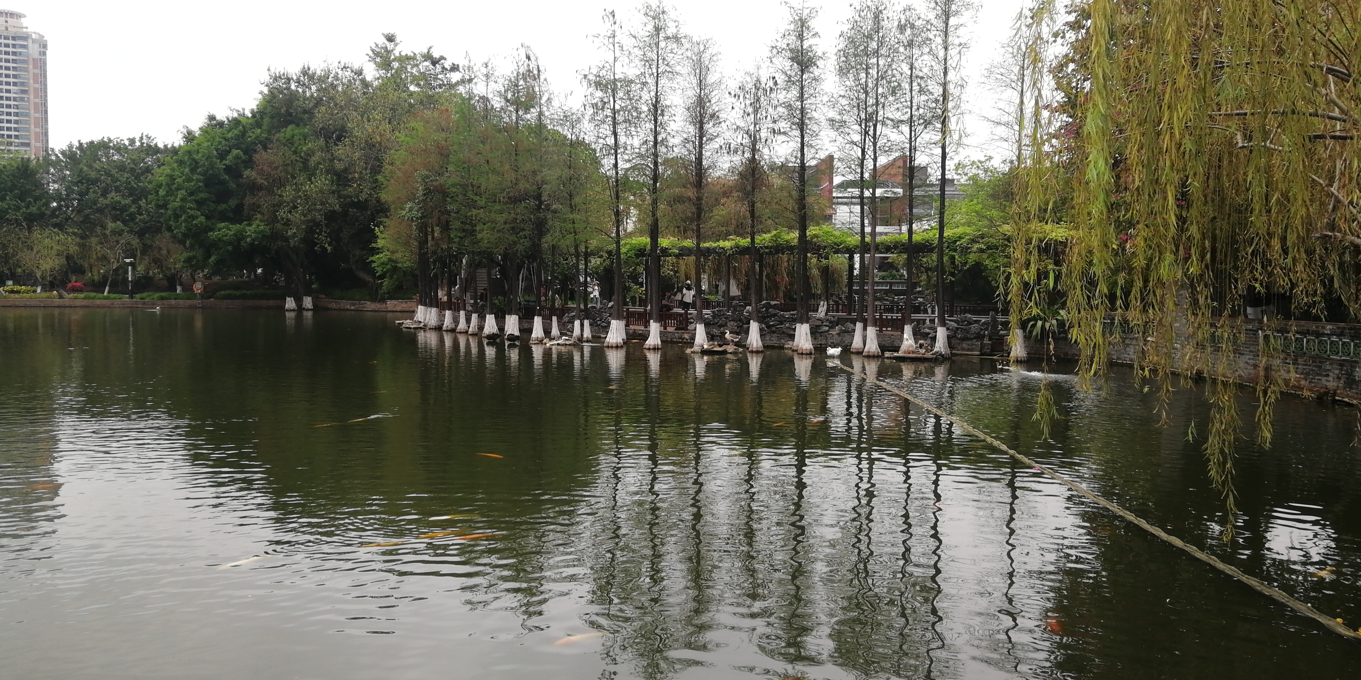 周末不知道去哪玩坐地铁,周末不知去哪里玩