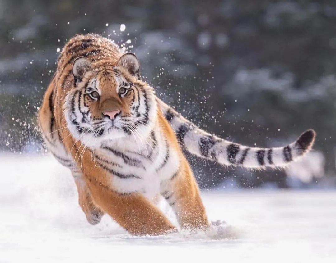 学习优秀摄影作品,摄影教学作品欣赏