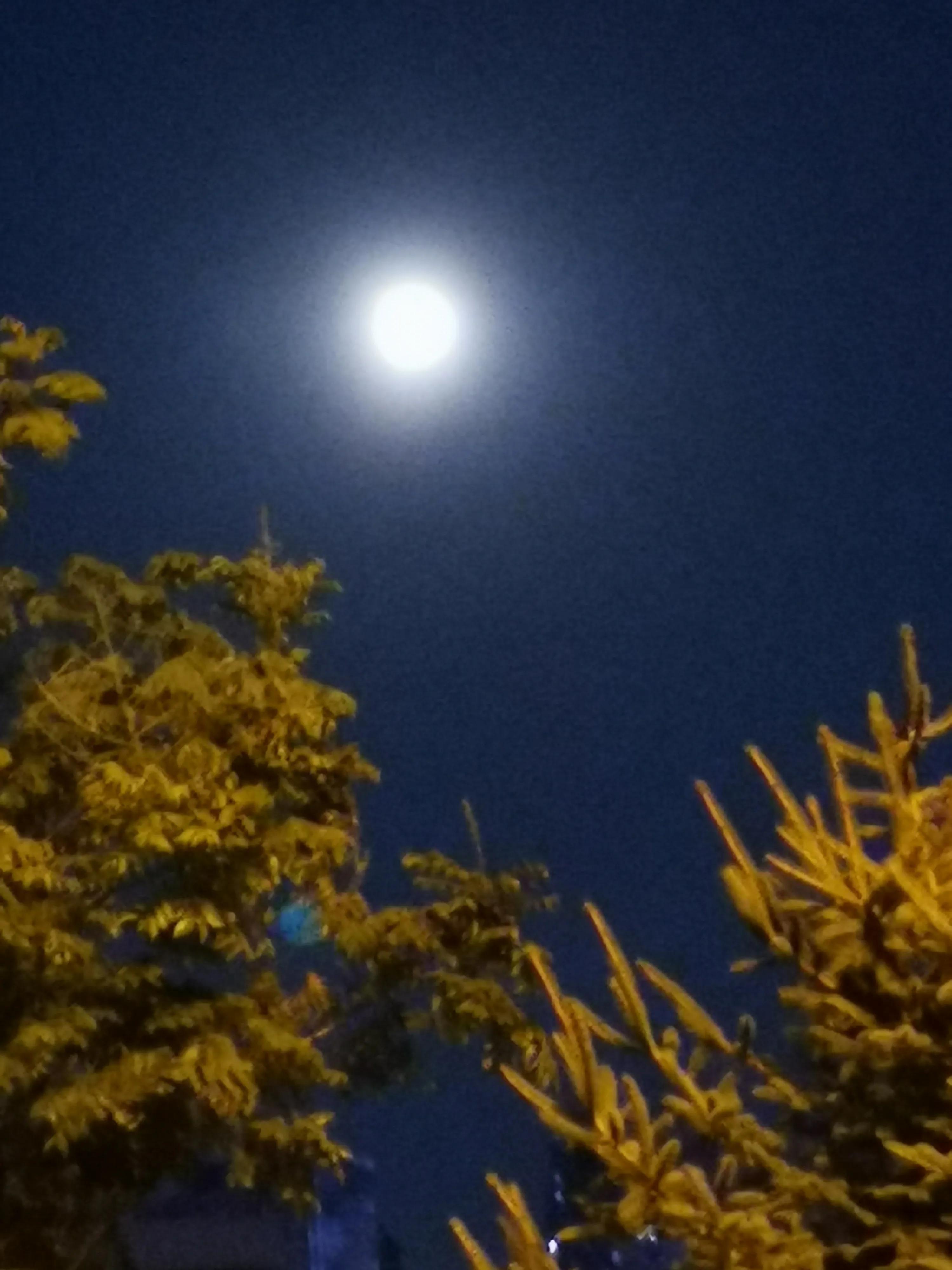 分享你拍下的最美月亮,中秋最美的月亮发朋友圈