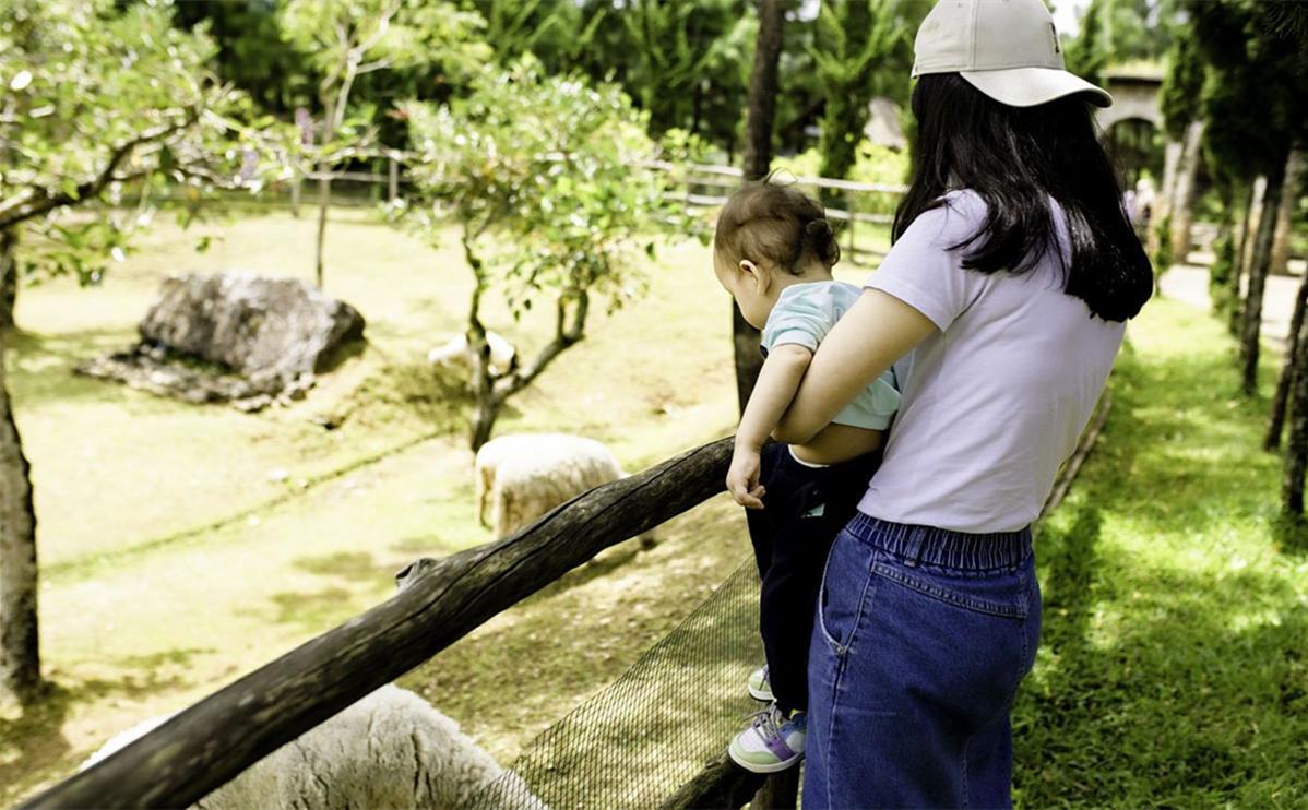 花5000雇男保姆对比女保姆,58岁的富婆花十万元雇男保姆下集