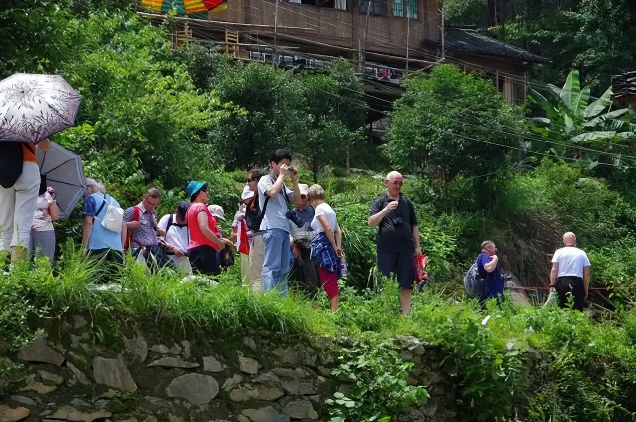 谢谢会说11门外语的阿婆，治愈了我的焦虑症