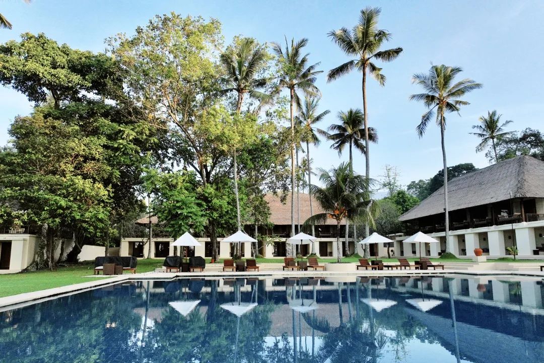 这可能是全球性价比最高的一家阿丽拉