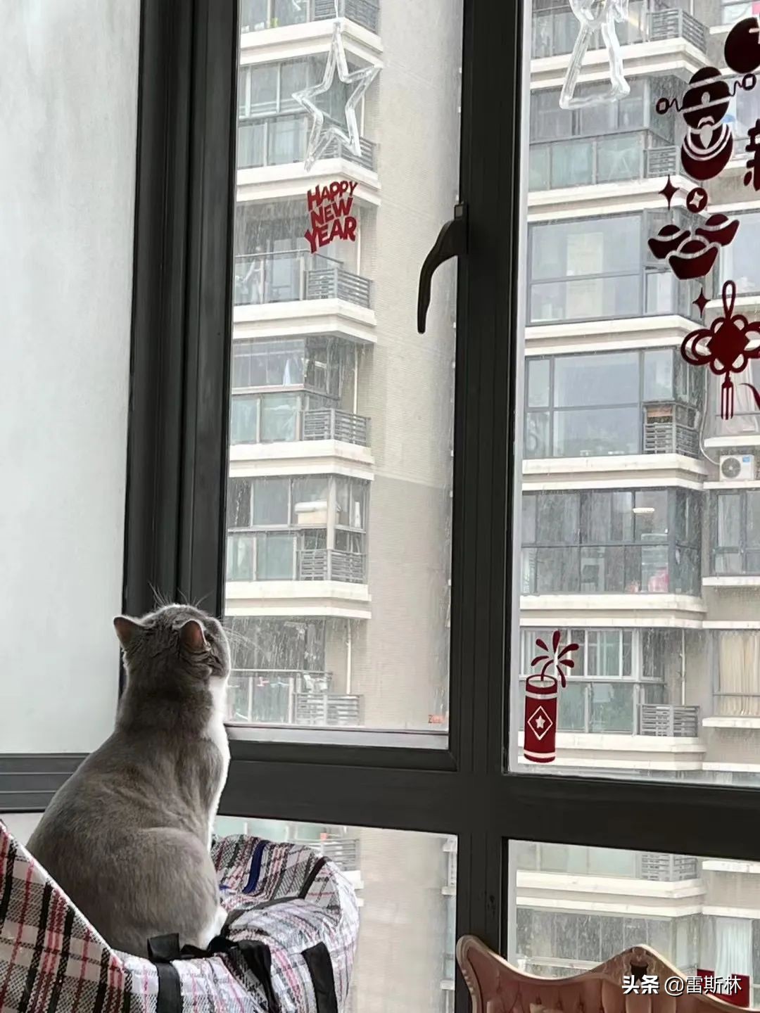 上海团长：2500万人错过的春天，我们团不来