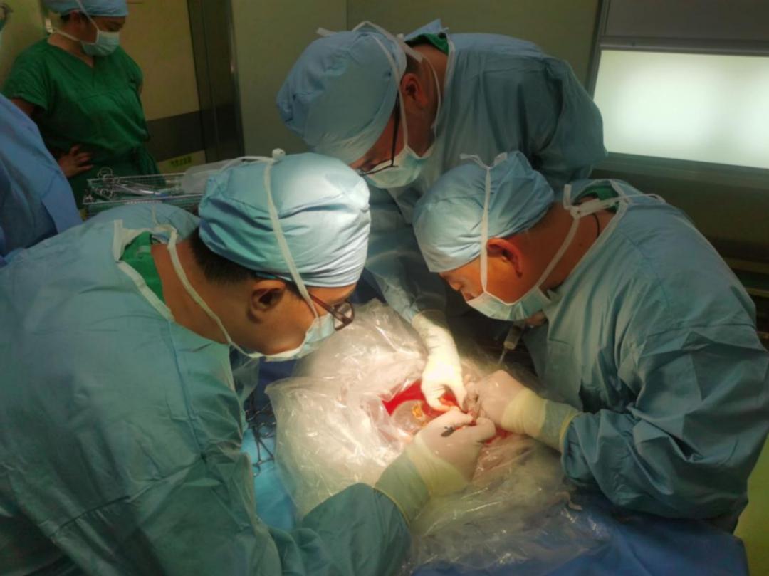哈医大一院完成肾移植,哈医大二院肺移植