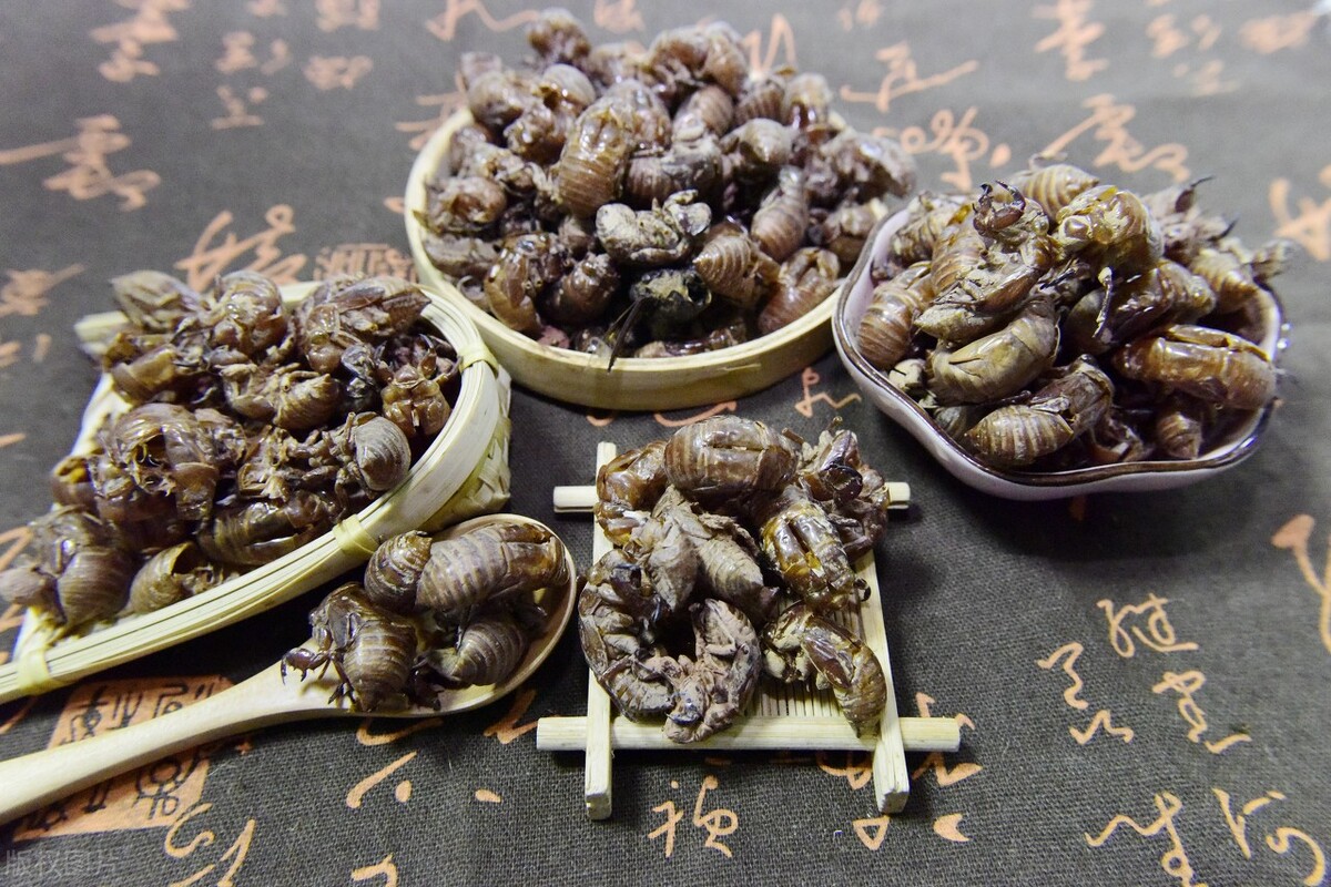 失眠、神经衰弱，为什么归脾汤无效，蝉蜕有效？