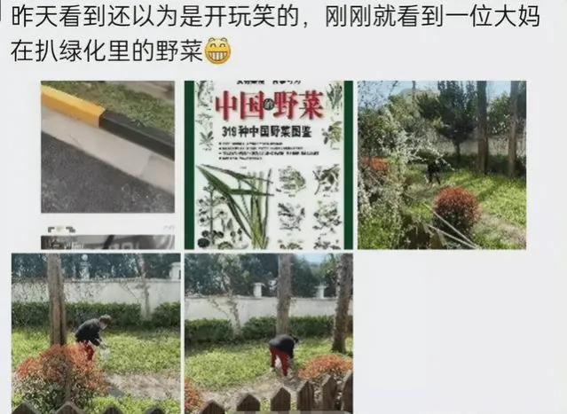 上海魔都掠影深度解析,魔都上海最魔幻的地方