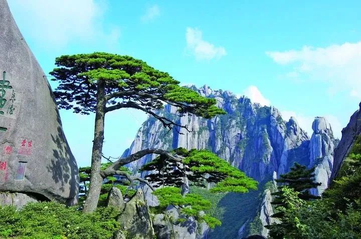 黄山十大秀美之城,黄山被评为十大秀美之城