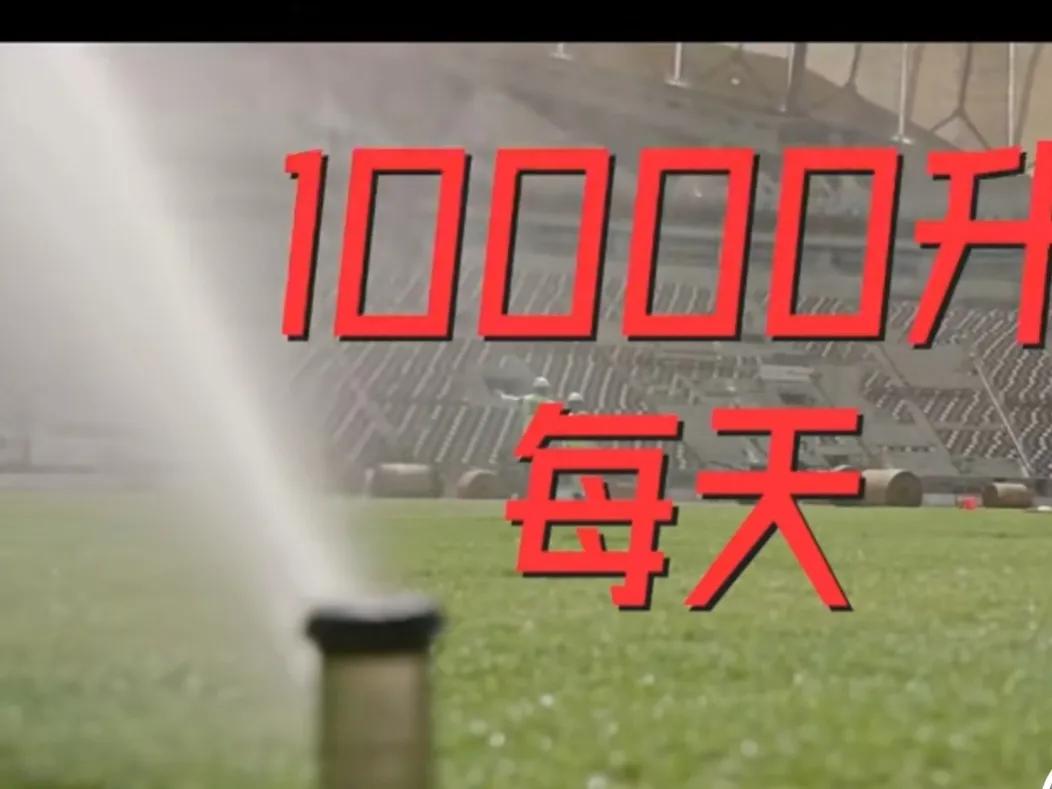 壕无人性的壕,壕无人性的卡塔尔