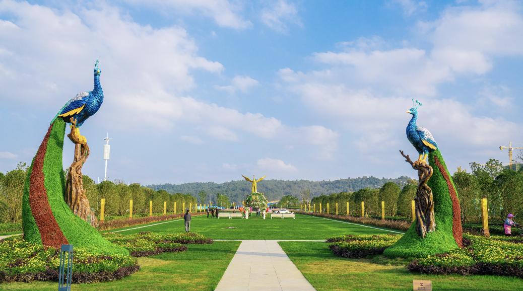 碧桂园贵州区域总结,深耕地产10年