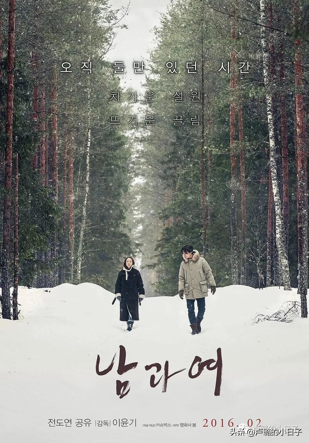 7部让你想走就走的旅行电影,吐血推荐8部关于旅行的电影