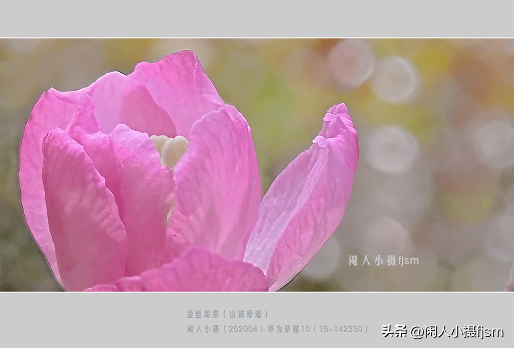 微距摄影就是近距离拍摄微小物体,微距摄影和近距离摄影有区别吗