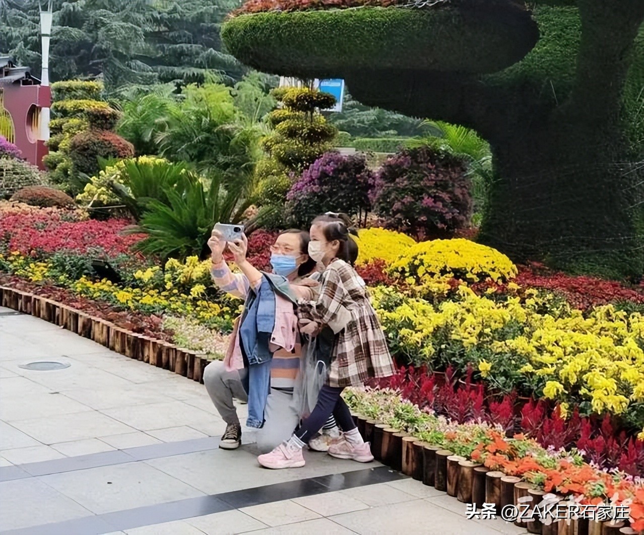 石家庄发布地震灾害预警,预警提示气象灾害河北石家庄