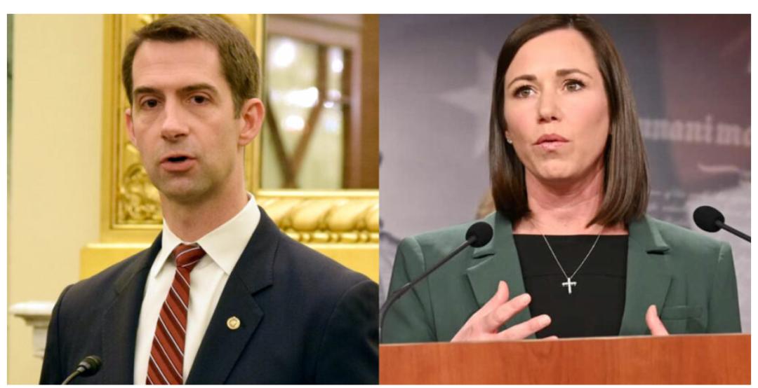 华人在美买房买土地受限制,美国哪些州禁止中国人购买房产