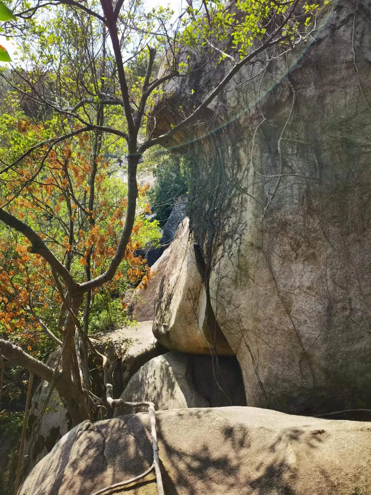 厦门岛内去哪里逛,厦门新年爬山