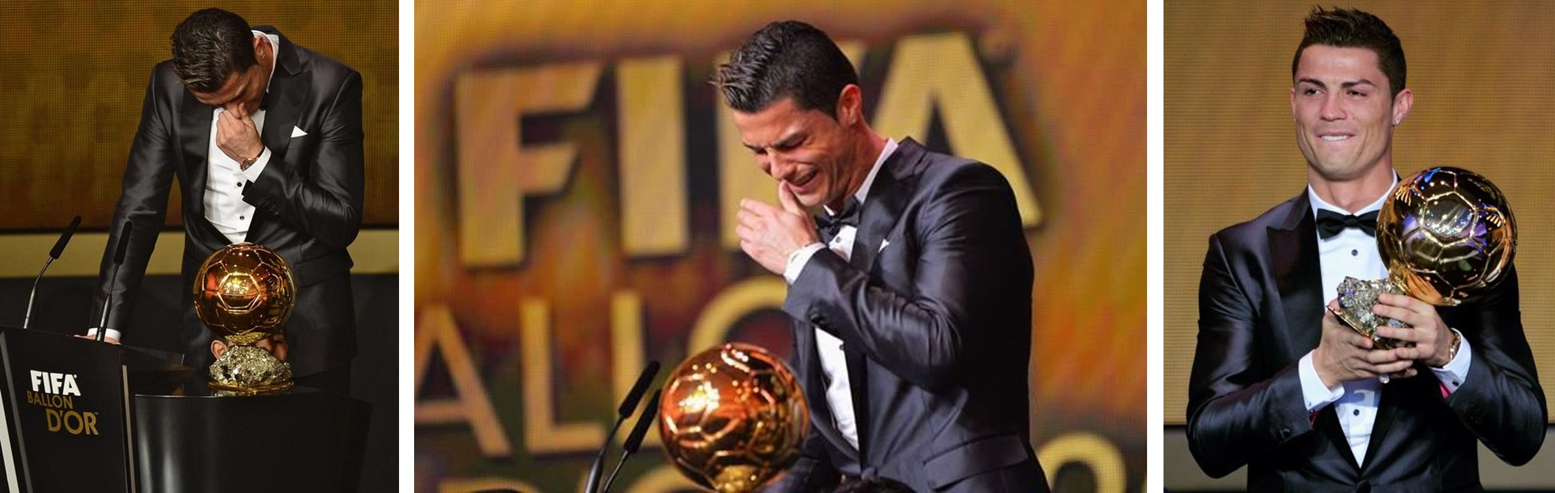 里贝里2013年欧洲冠军,2013年里贝里拿了多少冠军