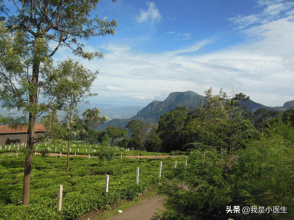 结核筛查科普,结核全套查啥