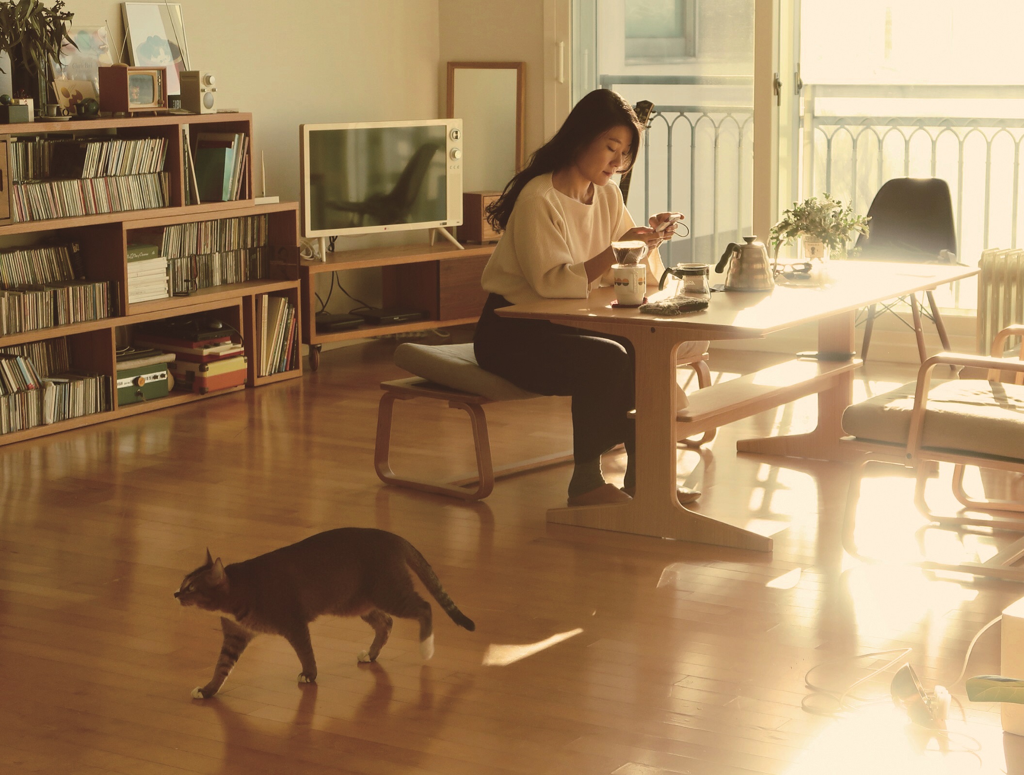 豆瓣8.8，一本无关爱情的同居生活指南，单身人士不得不读