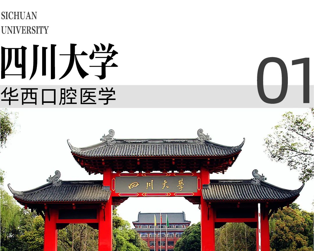 在四川大学报考什么专业好就业,四川的大学值得报考的好专业