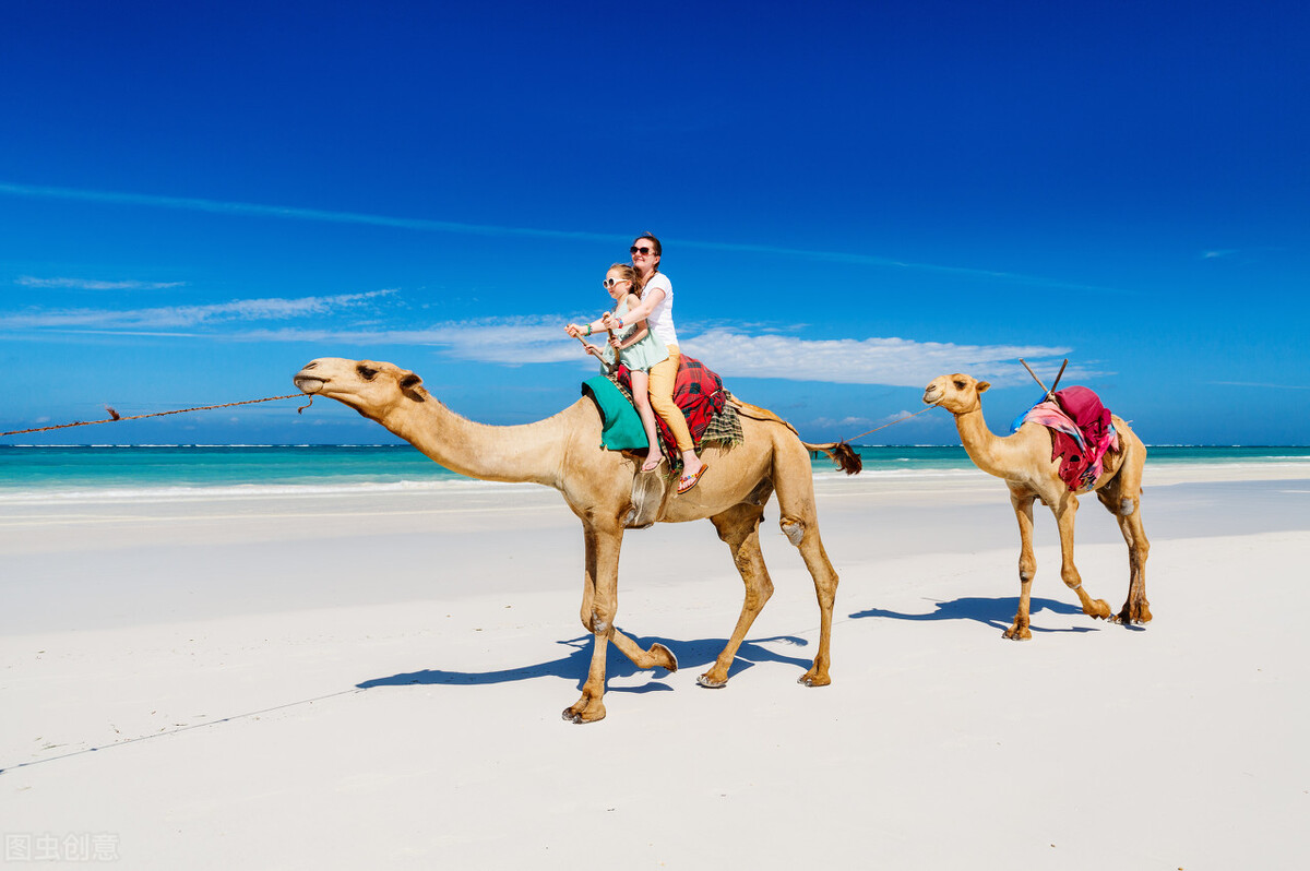 女人千万别阻挡男人尽孝,女的能接受男的丁克吗